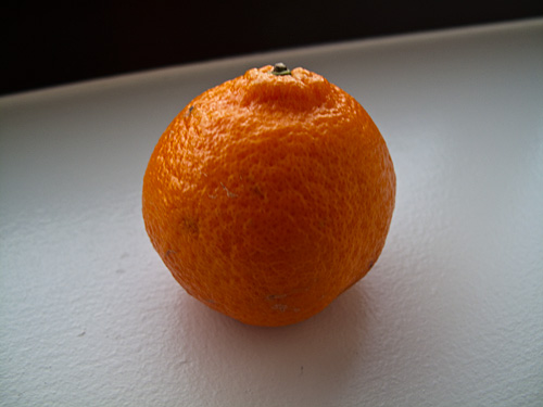 food19